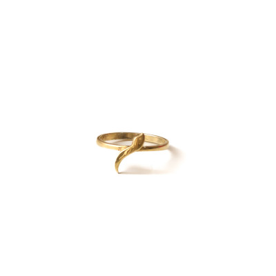 Women ring Women ring